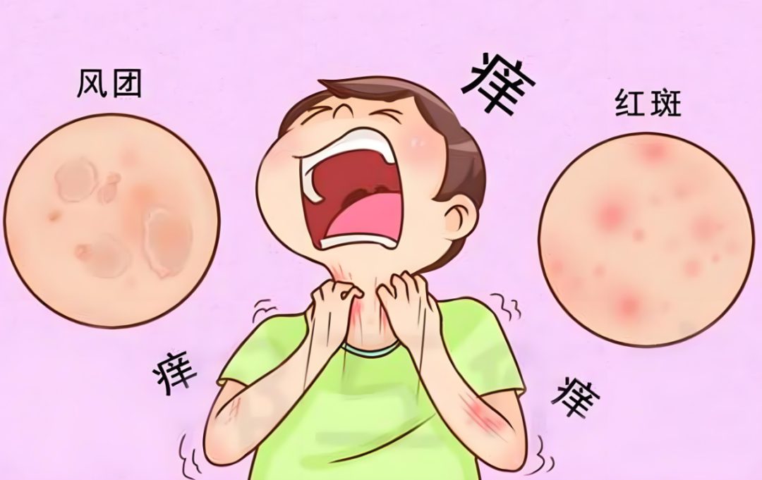 微信图片_20250213090825.png